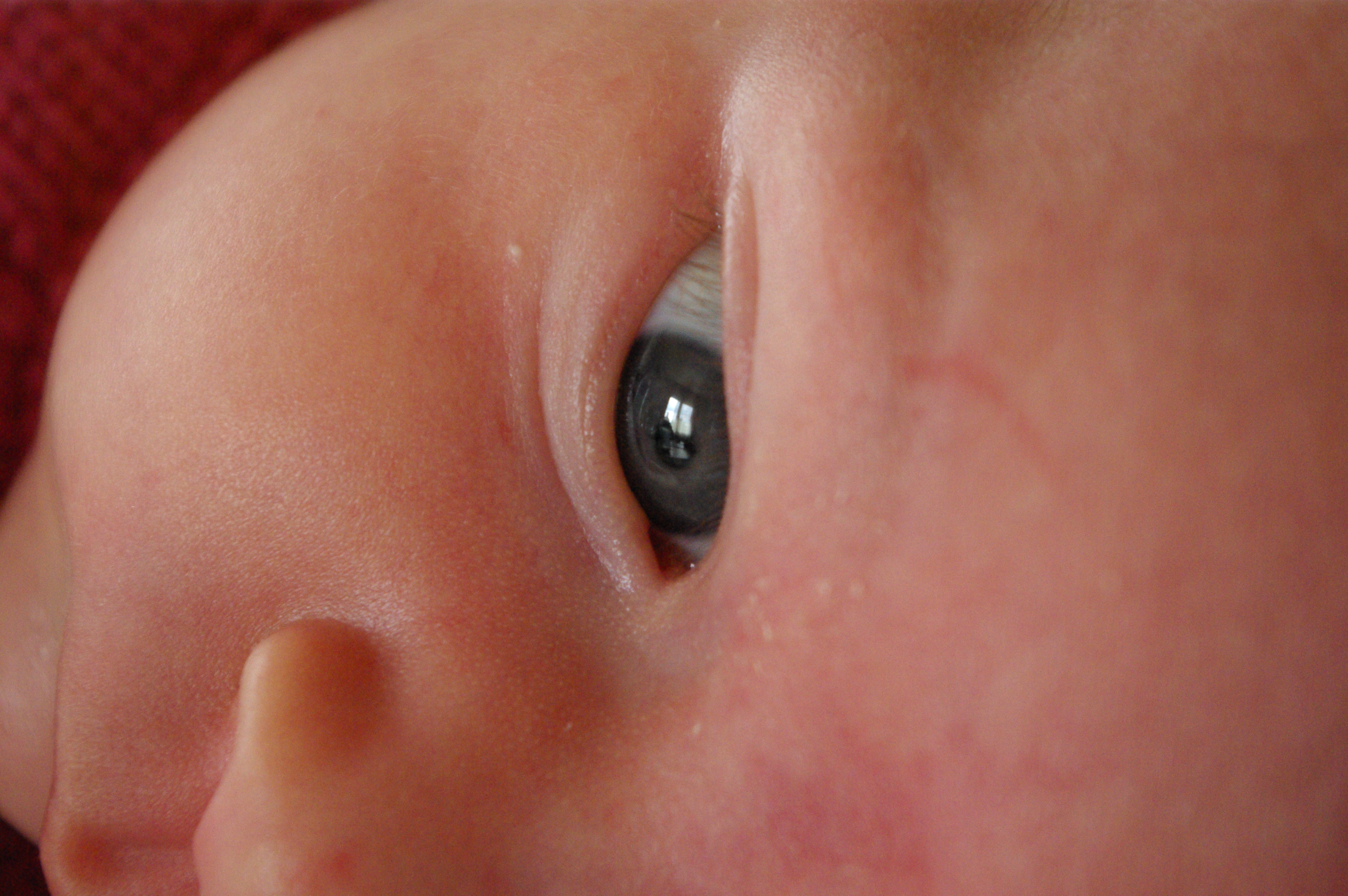 20070822-IMGP1158