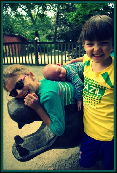 3zoo
