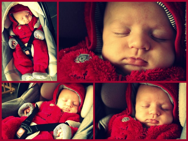 ourson