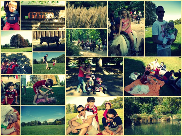 parcpicnic