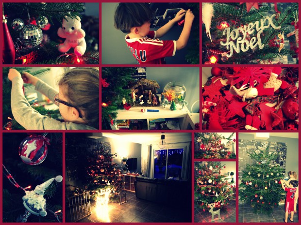 sapin2014
