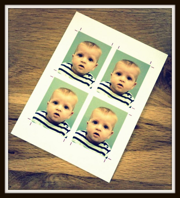 photo identiteleandre