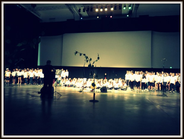 ansolia2015