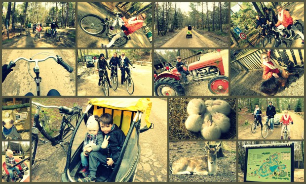 centerparcs6