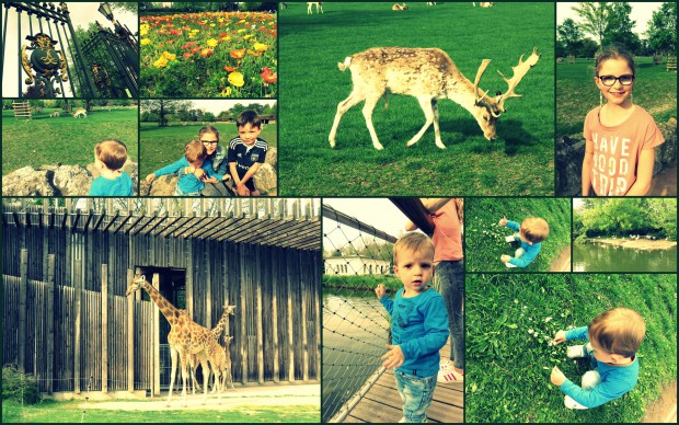 mercrediparc