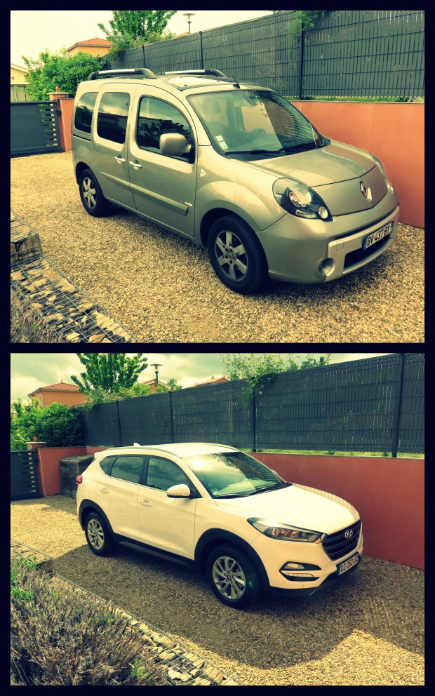 kangoo
