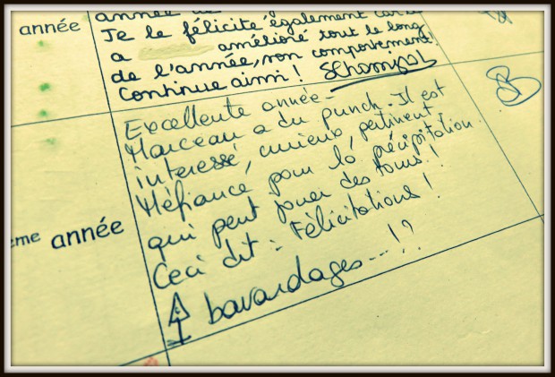 bullmarc