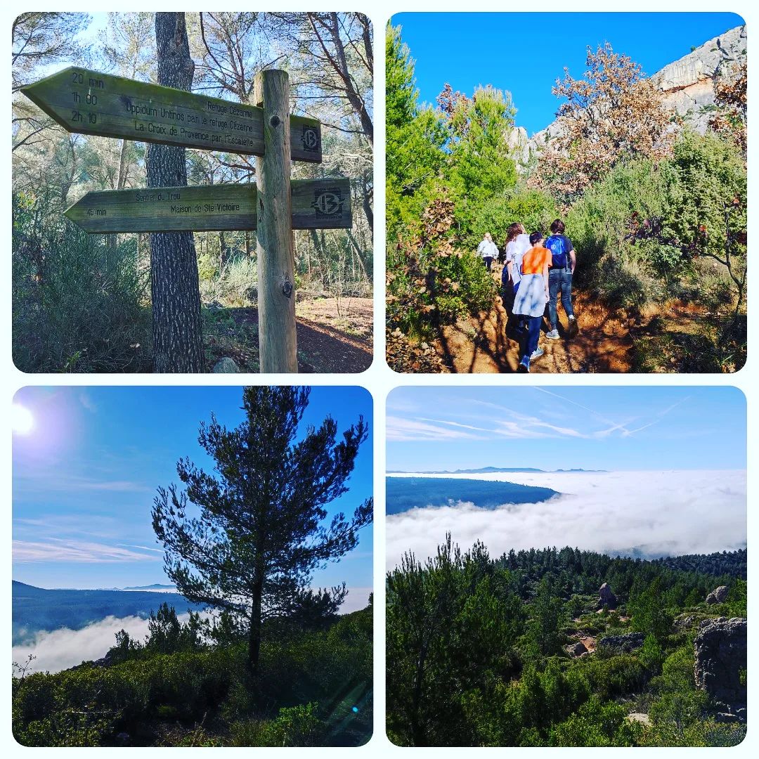 Instagram Image