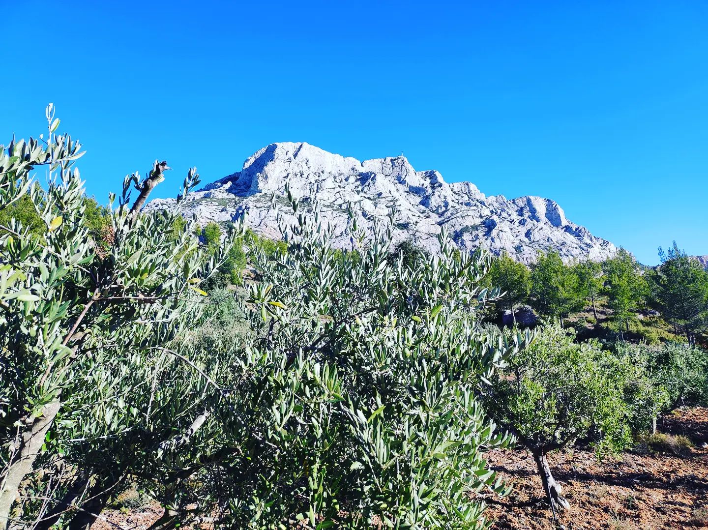 Instagram Image