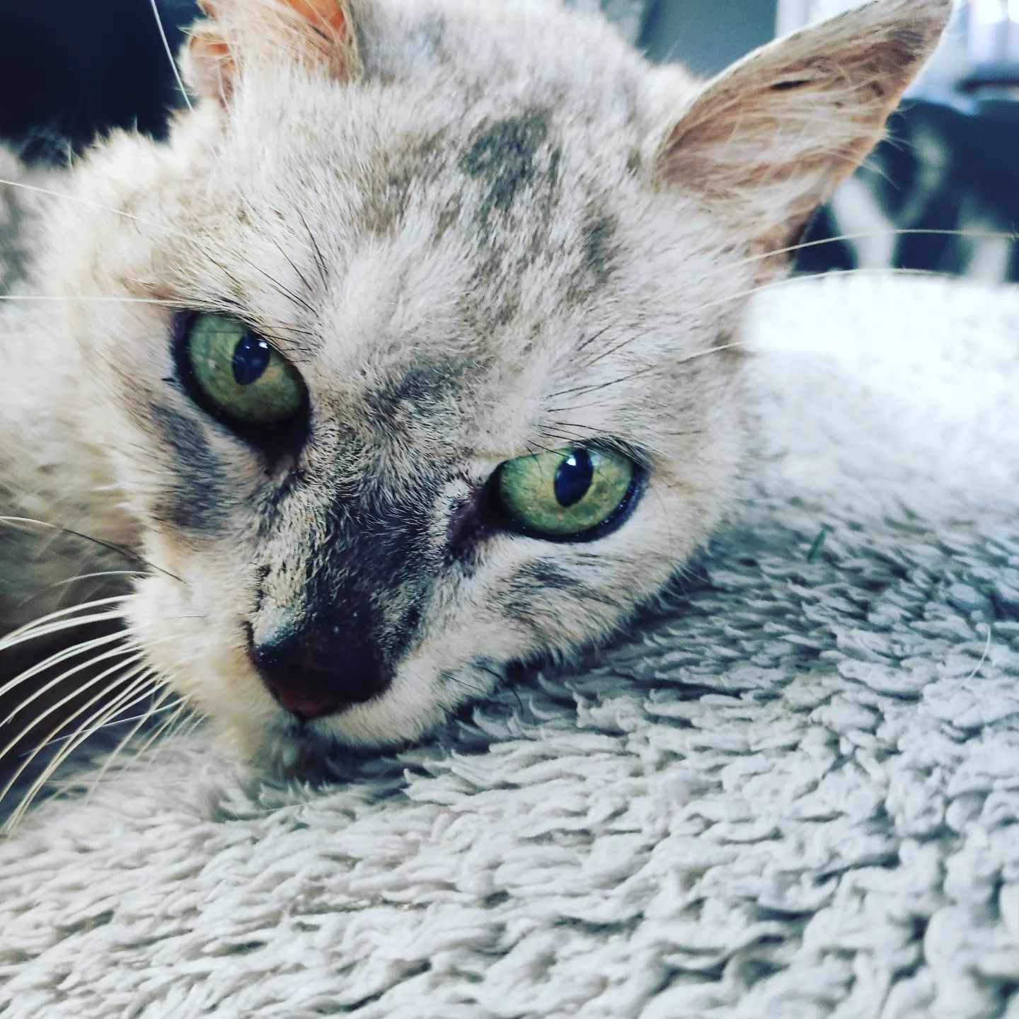 Instagram Image