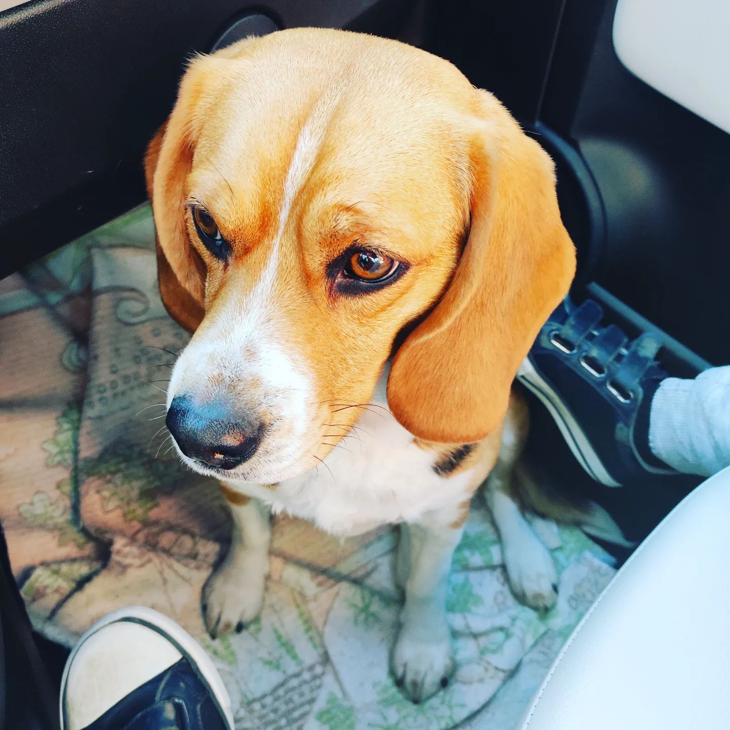 Instagram Image
