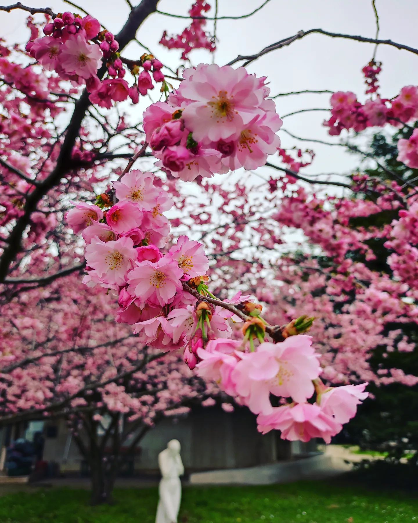 Instagram Image