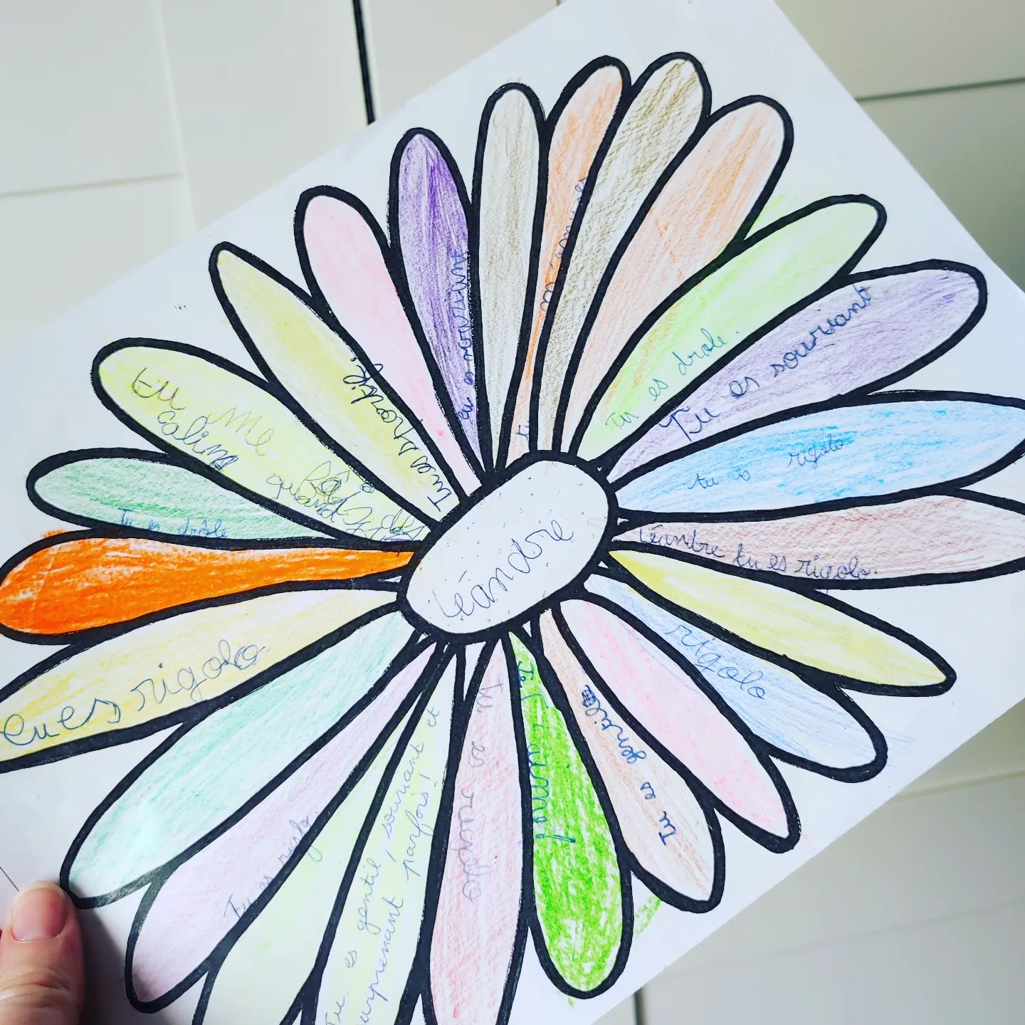 Instagram Image