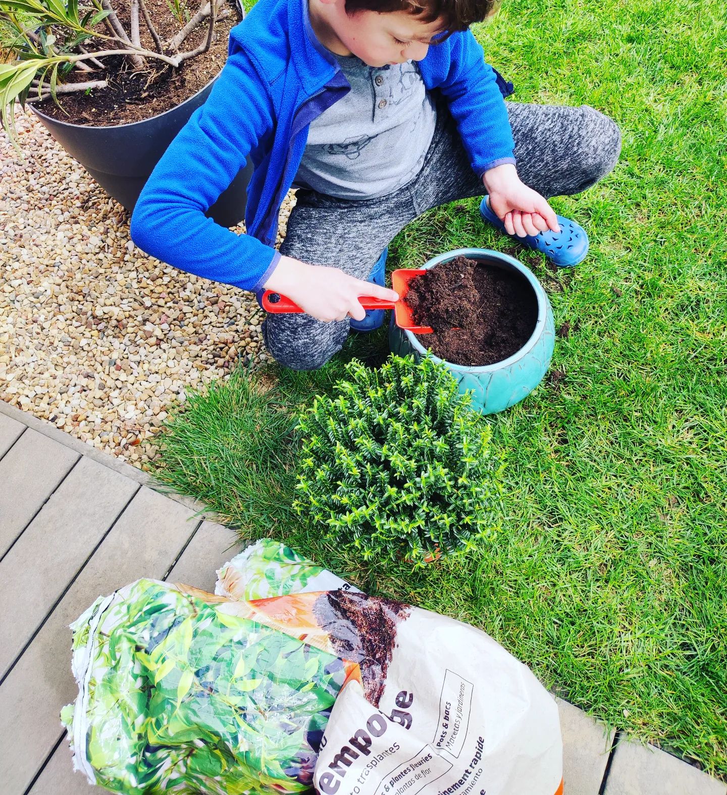 Instagram Image