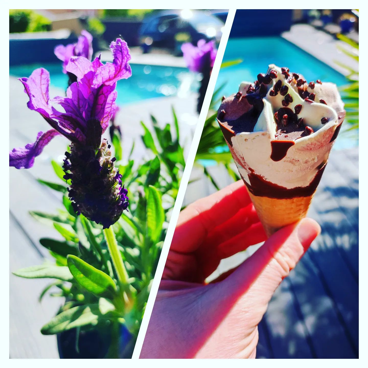 Instagram Image