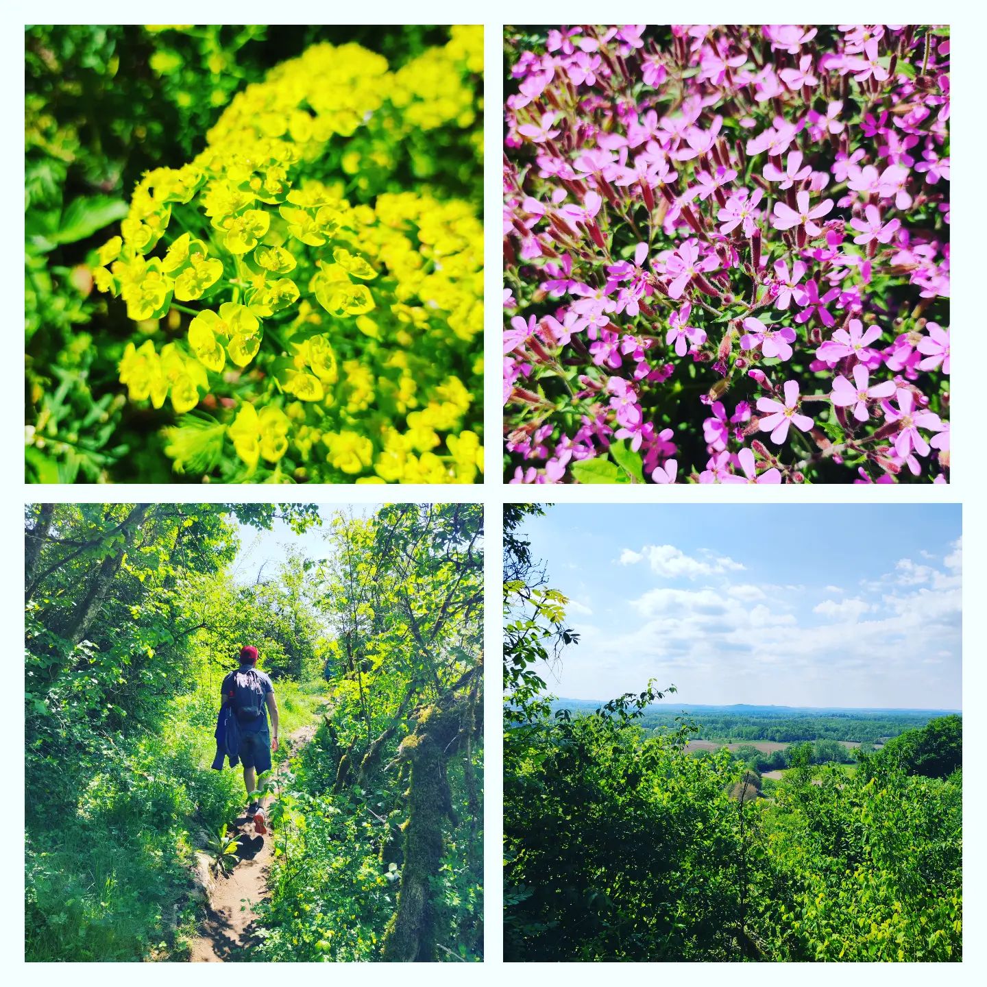 Instagram Image