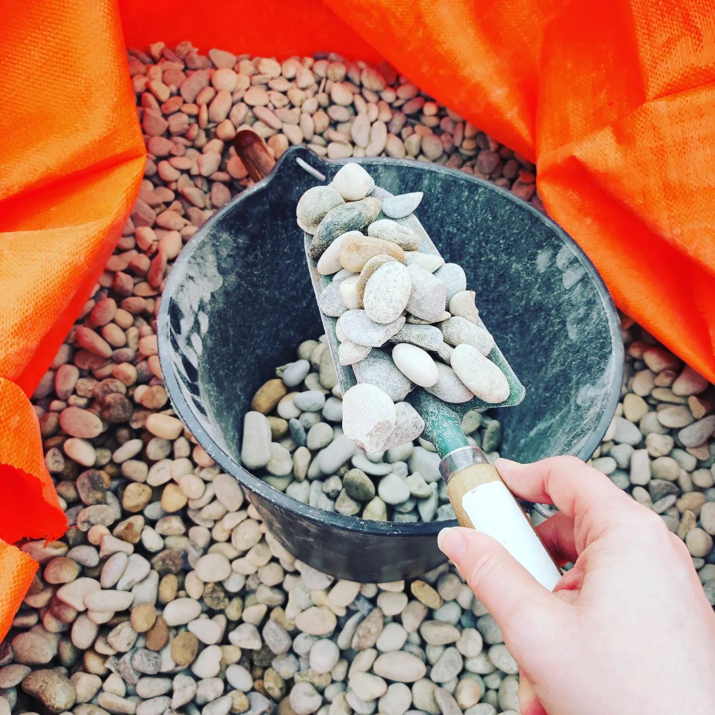 Instagram Image