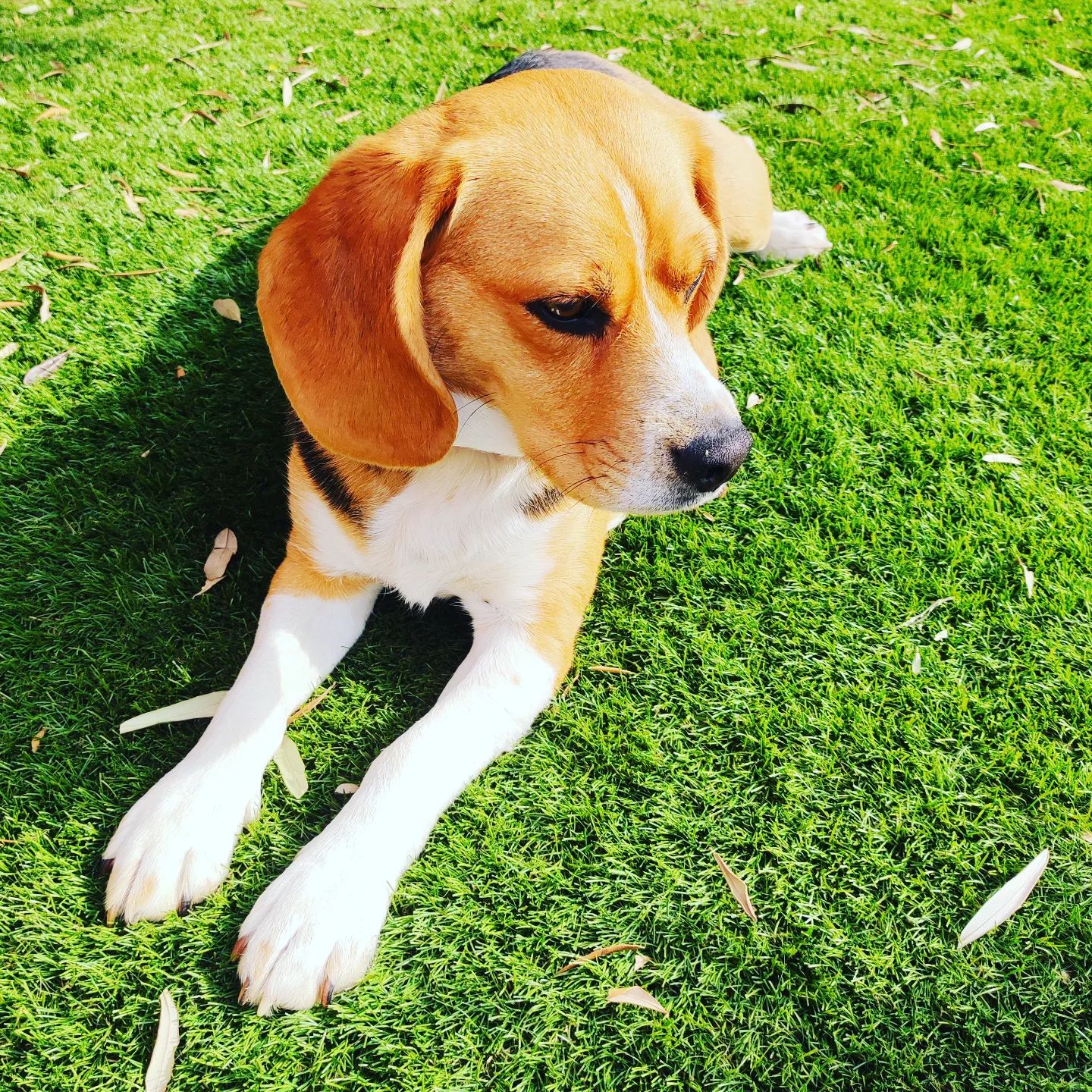 Instagram Image