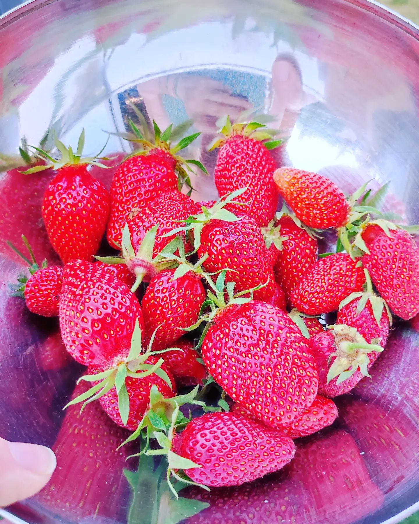 Instagram Image