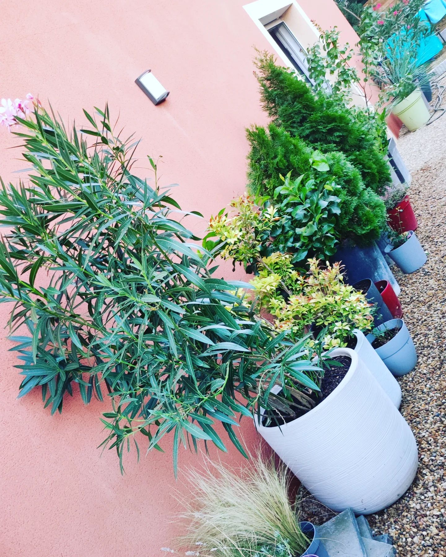 Instagram Image