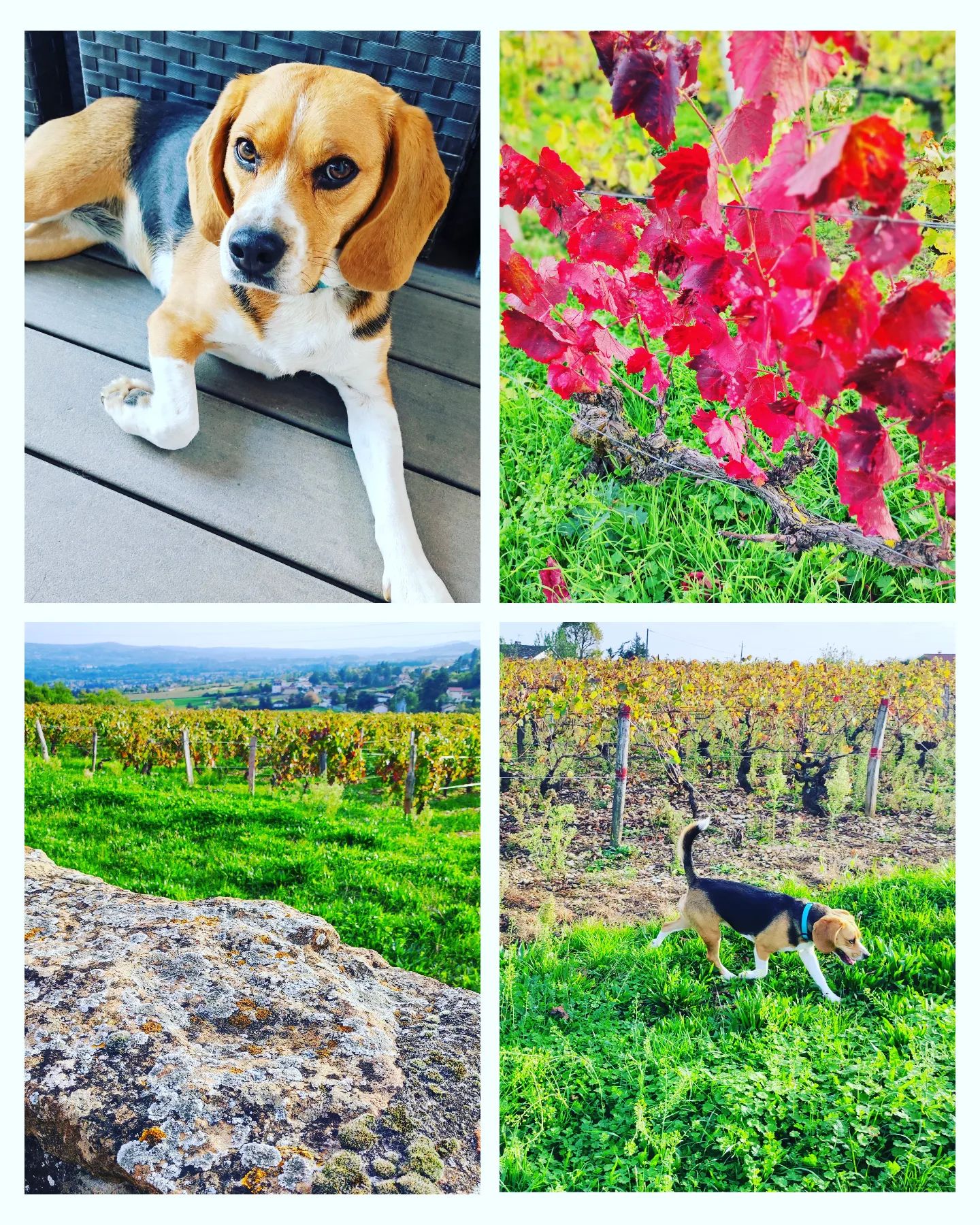 Instagram Image
