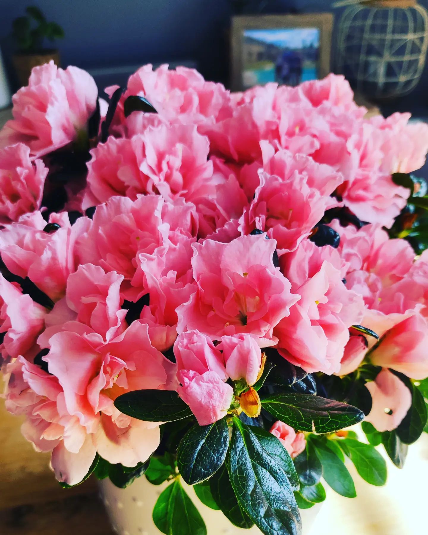 Instagram Image
