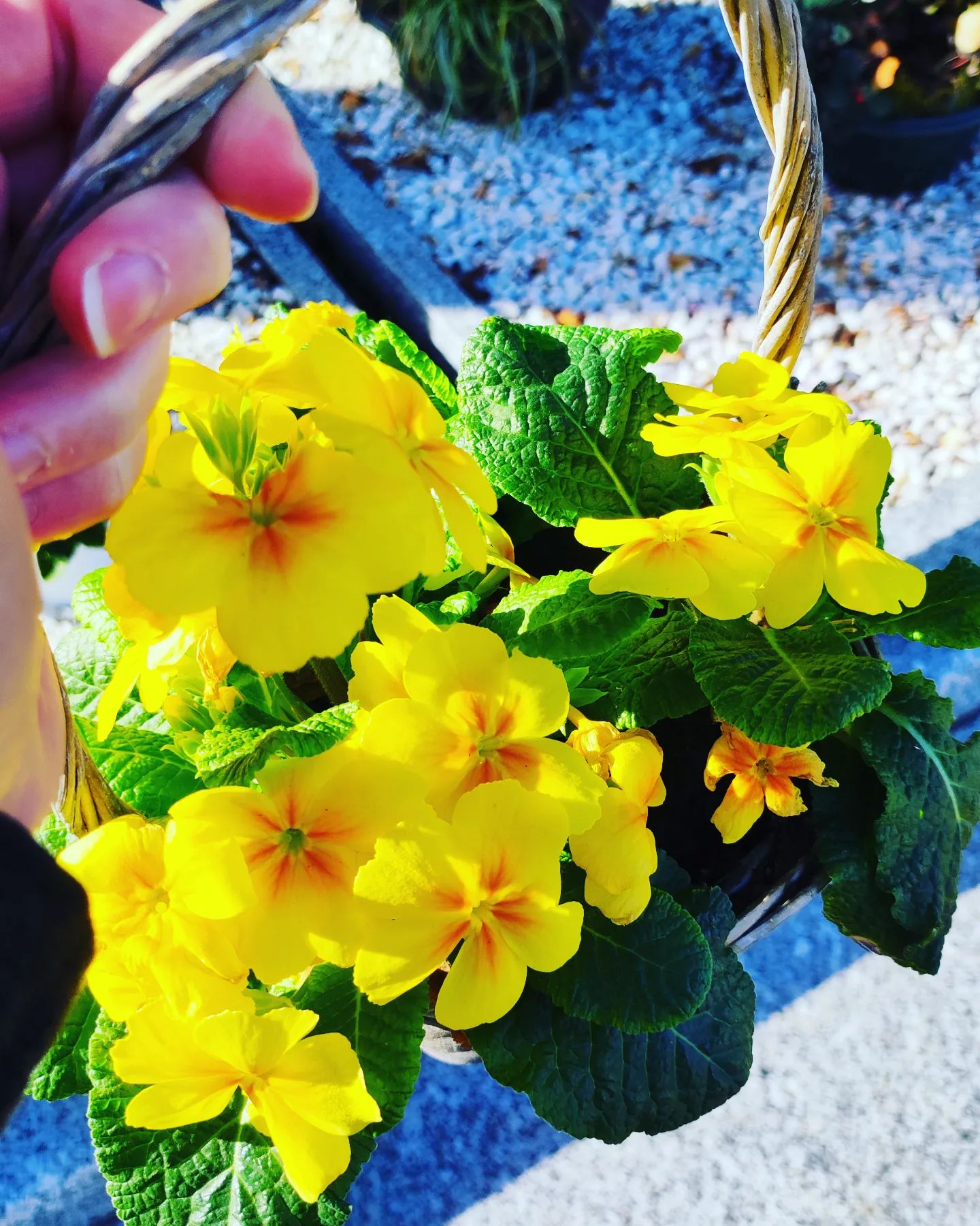 Instagram Image