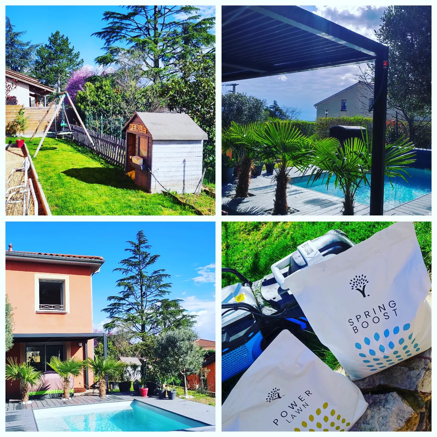 Instagram Image