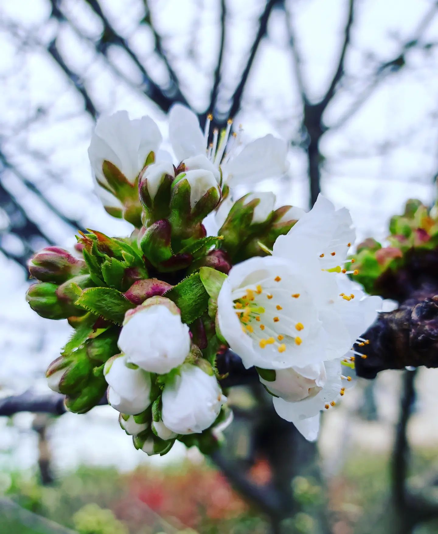 Instagram Image
