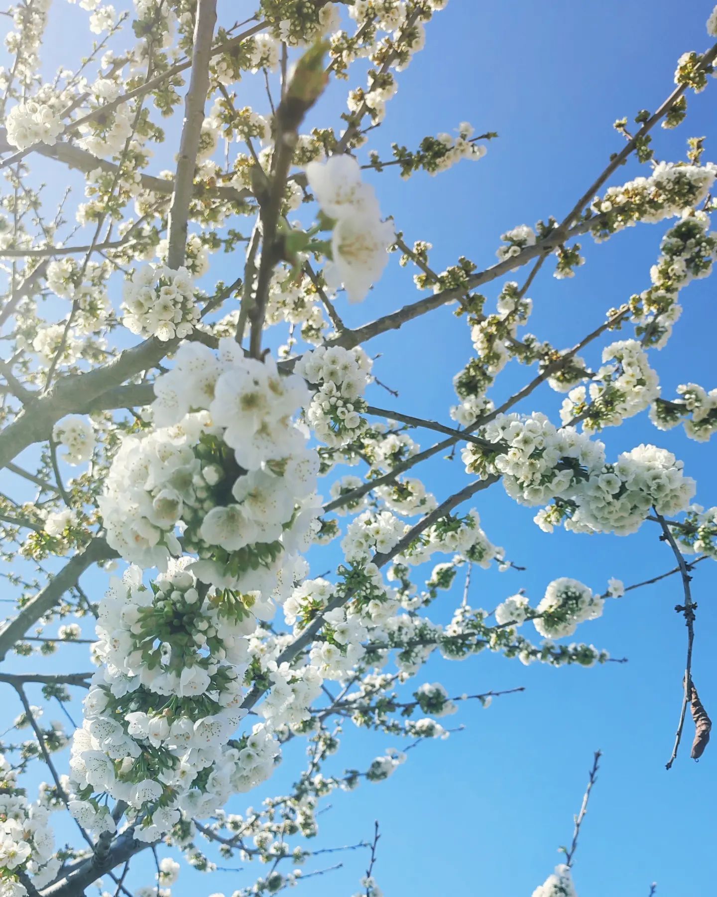 Instagram Image