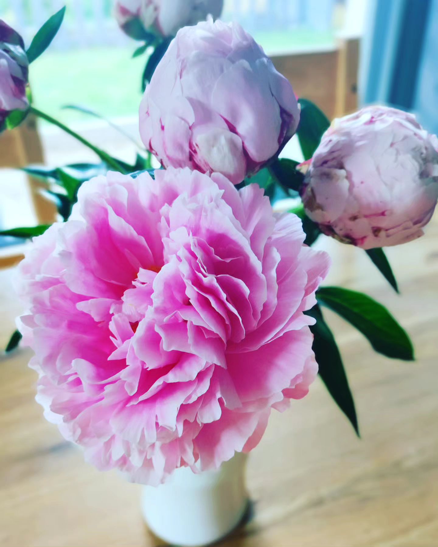 Instagram Image
