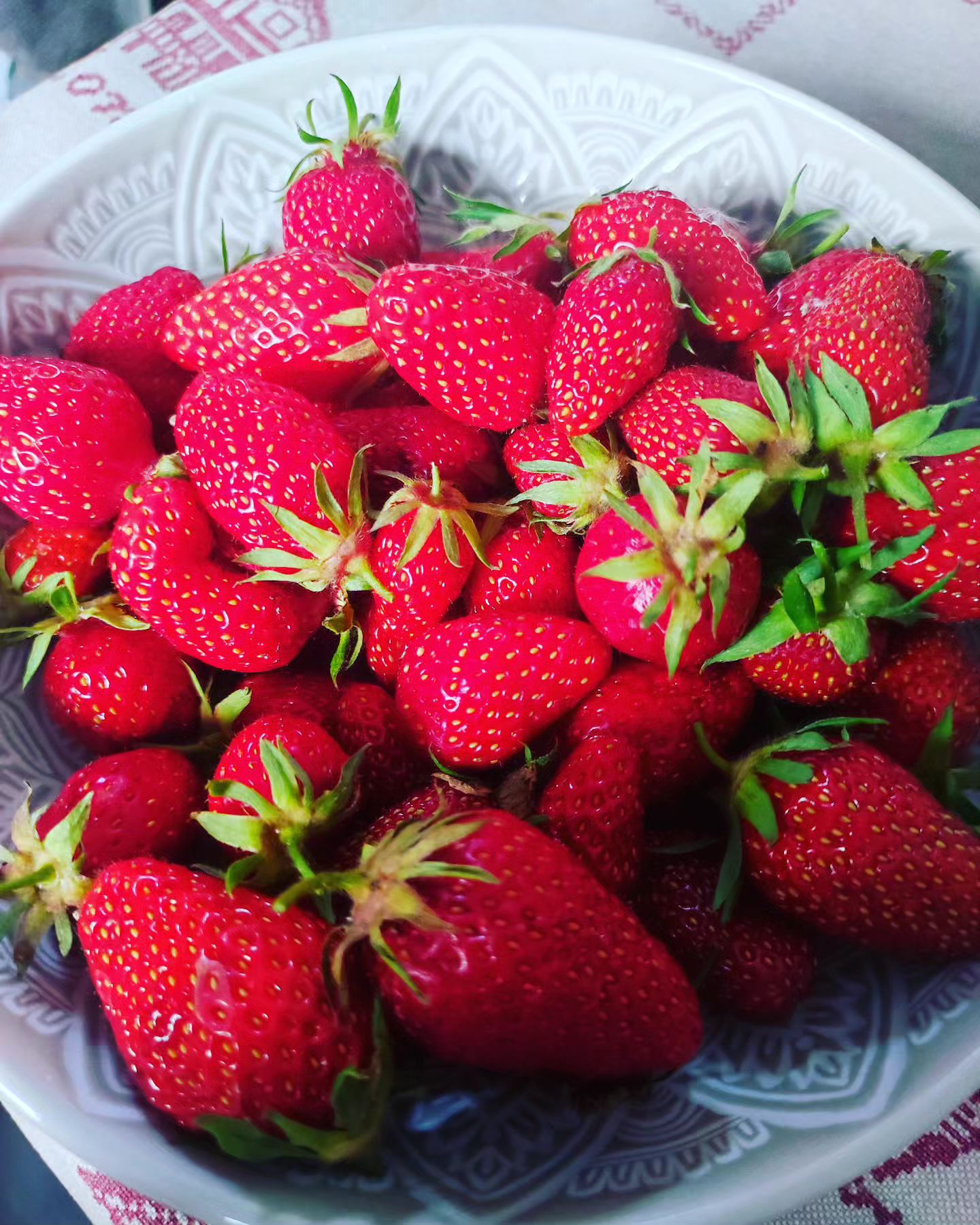 Instagram Image