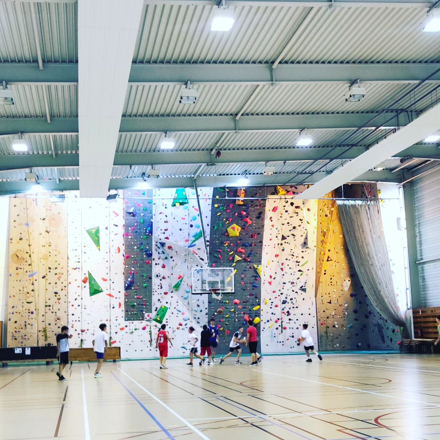 Instagram Image