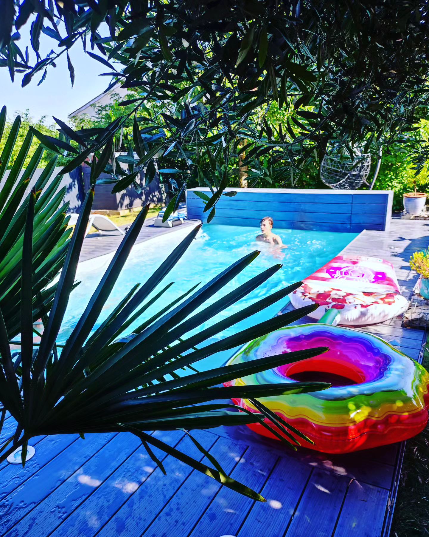 Instagram Image