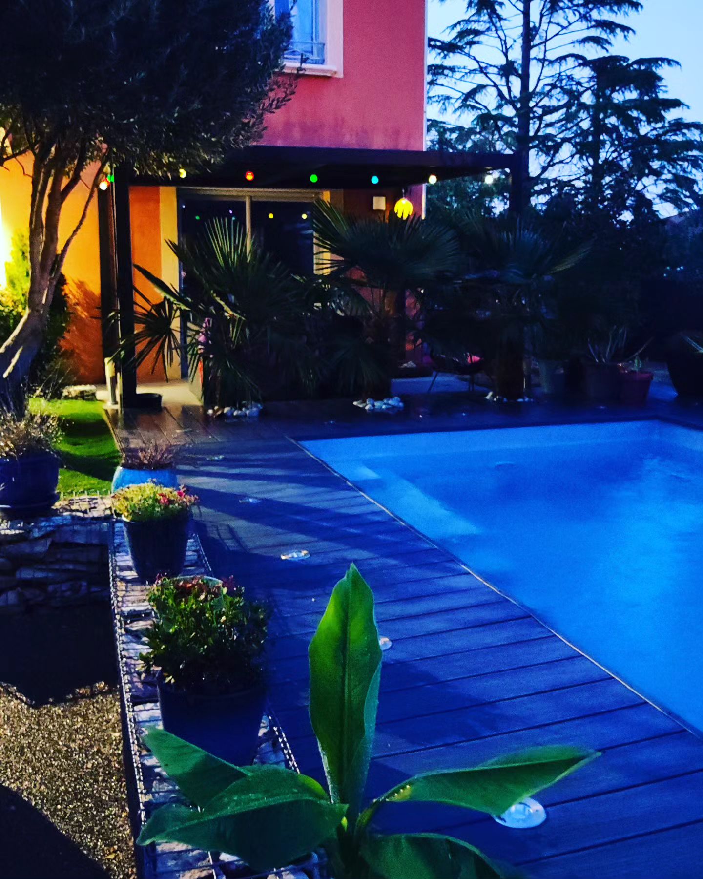 Instagram Image