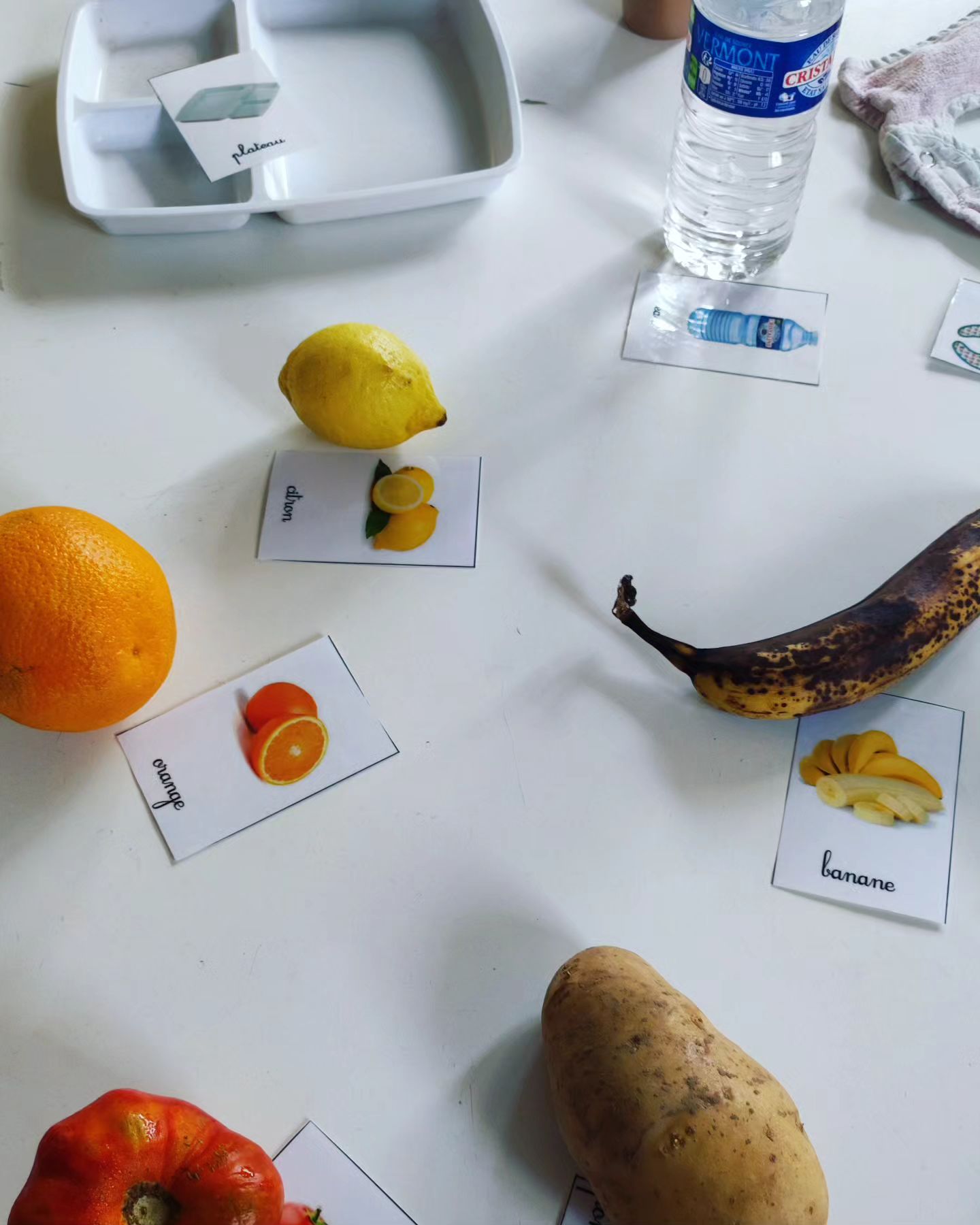 Instagram Image